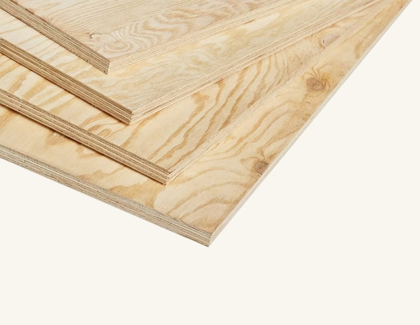 Çam Kontrplak Pine Plywood Ata Kontrplak
