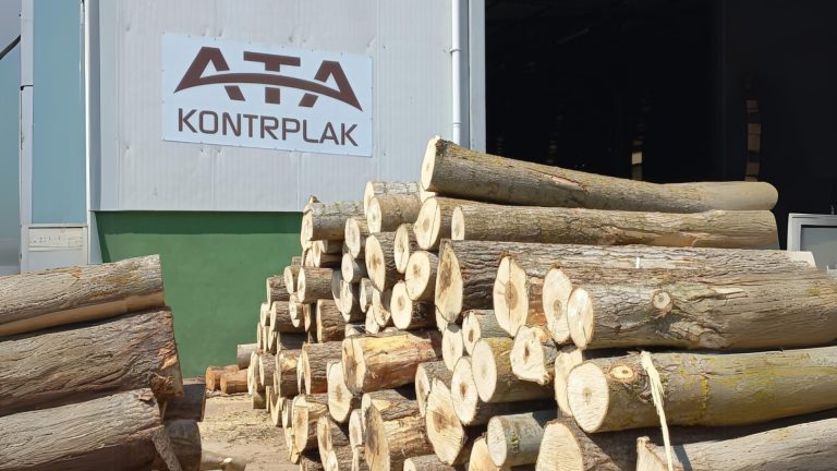 Ata Kontrplak Amasya Taşova Fabrika