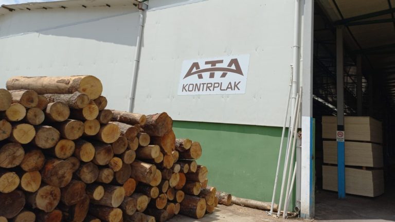 Ata Kontrplak Amasya Taşova Fabrika